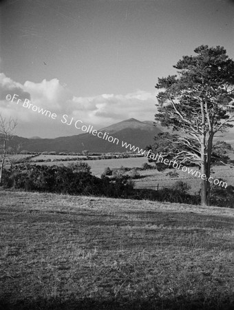 VIEW FROM LORETO CONVENT